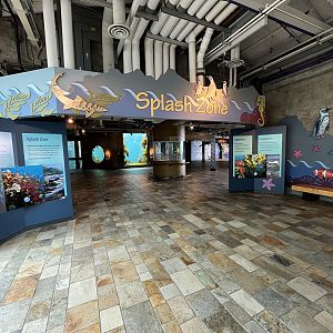 Splash Zone - Entrance