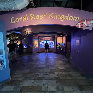Coral Reef Kingdom - Entrance