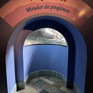 Penguin Viewing Window