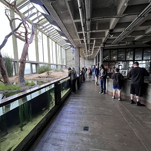 Aviary + Touch Tanks