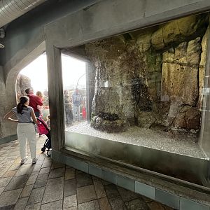 Crashing Wave Exhibit (1 of 2)