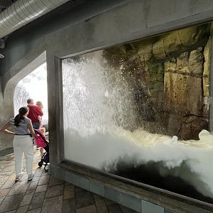 Crashing Wave Exhibit (2 of 2)