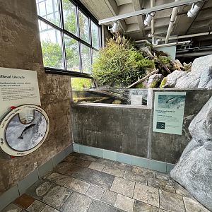 Coastal Stream Exhibit