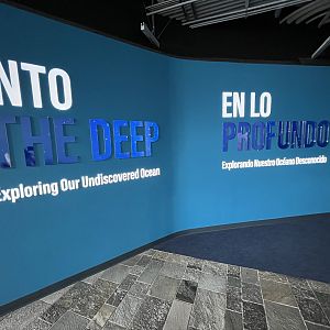 Into the Deep - Entrance