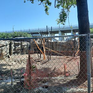 Bear Hollow 7.7.23  (3)