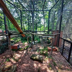 Former Red Panda Outdoor Habitat