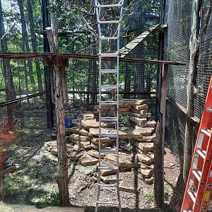 Former Outdoor Snow Leopard Exhibit