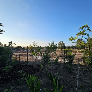 Grasslands view from path, plenty of planting
