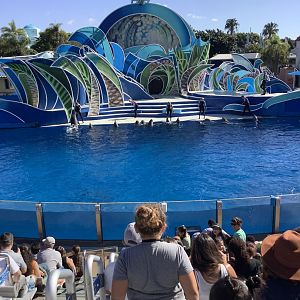 Dolphin Show 10/9/21