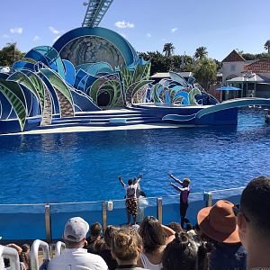 Dolphin Show 10/9/21