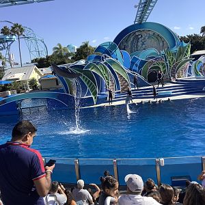 Dolphin Show 10/9/21