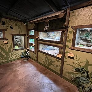 Rainforest Room - New