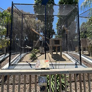 Eurasian Eagle Owl Aviary - New