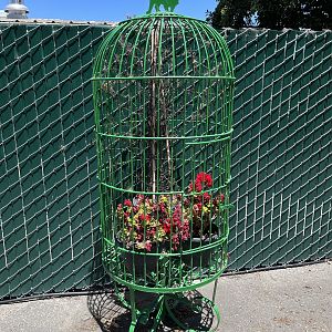 Old Bird Cage