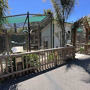 Raccoon + Coati Exhibits