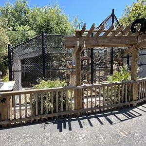 Binturong Exhibit - New