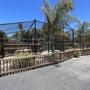 Cougar Exhibit - New