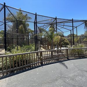 Leopard Exhibits - New