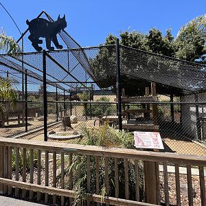 Caracal Exhibit - New