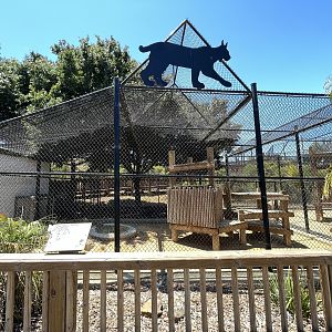 Serval Exhibit - New