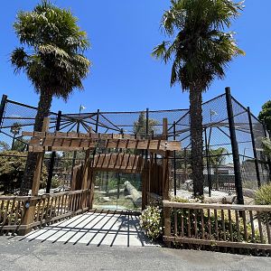 Leopard Exhibits - New