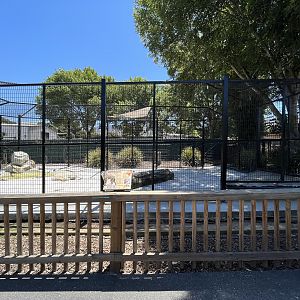 Spotted Hyena Exhibit