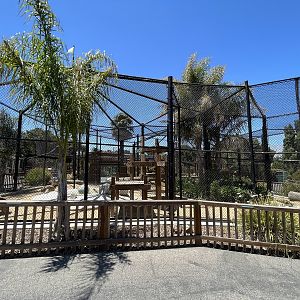 Leopard Exhibits - New