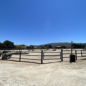 White Rhino/Zebra Exhibit