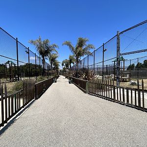 Tiger and Lion Exhibits