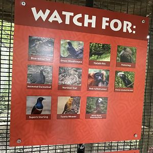 African Aviary Signage