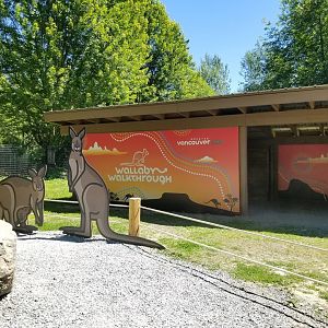 Wallaby Walkthrough photo op