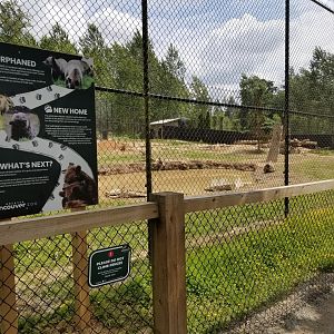 Grizzly bear exhibit