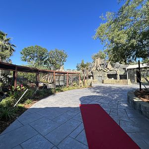 Kingdoms of Asia - New in 2023