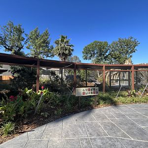 Kingdoms of Asia Aviary - New in 2023