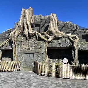 Kingdoms of Asia - New in 2023