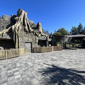 Kingdoms of Asia - New in 2023