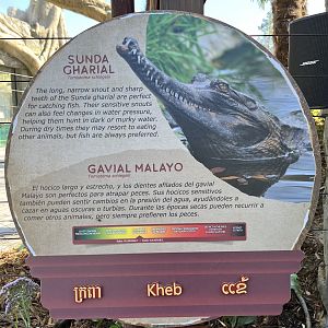 Kingdoms of Asia - New in 2023