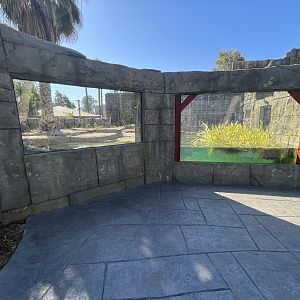 Sunda Gharial Exhibit - New in 2023