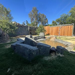 Small-clawed Otter Exhibit - New in 2023