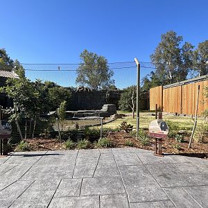 Small-clawed Otter Exhibit - New in 2023