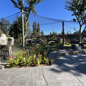 Malayan Tiger Exhibit #2 - New in 2023