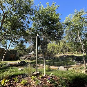Sloth Bear Exhibit - New in 2023