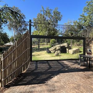 Sloth Bear Exhibit - New in 2023