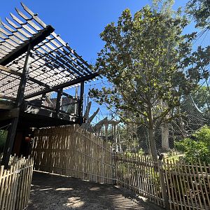 Orangutan/Siamang Exhibit - Renovated in 2023