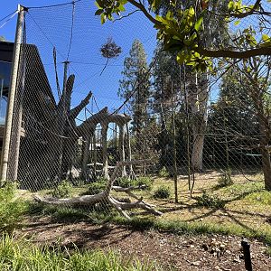 Orangutan/Siamang Exhibit - Renovated in 2023
