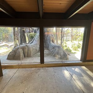Orangutan/Siamang Exhibit - Renovated in 2023