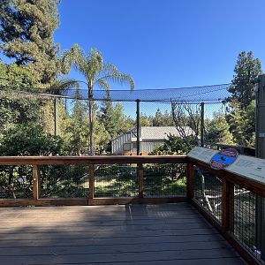 Rhinoceros Hornbill Aviary - New in 2023