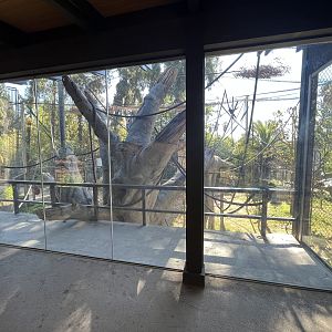 Orangutan/Siamang Exhibit - Renovated in 2023