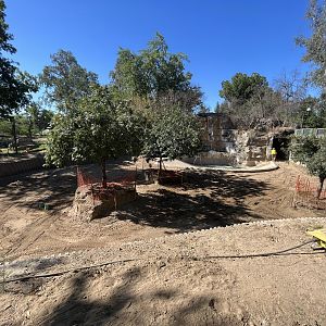 Future Malayan Tapir/Babirusa Exhibit