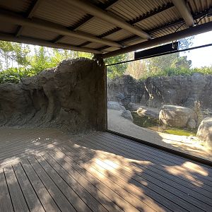 Komodo Dragon Exhibit - New in 2023